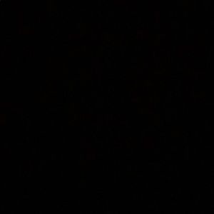 Meet your Posher, Darci